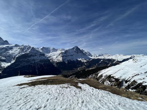 Gleitschirm Grindelwald 1